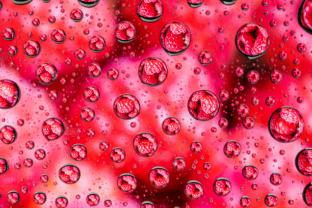 Bubbles in a boiling fluid make an interesting background or texture.