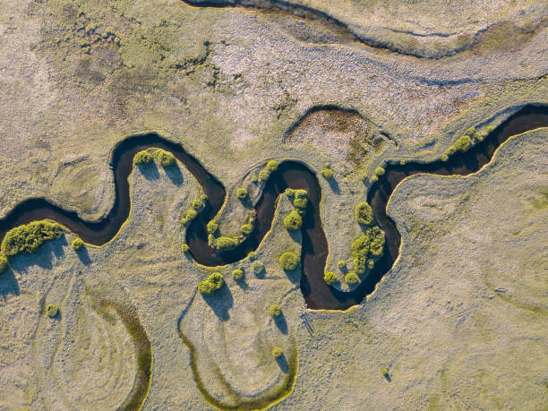istock A stream meanders through a green valley, with natural twists and curves. Meandering watercourse Top view. Aerial view of the beautiful landscape. Green field. 1222912329