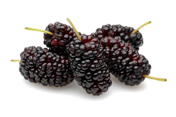 istock Black mulberry isolated on white 1222912694
