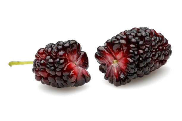 czarna morwa wyizolowana na białym - blackberry fruit mulberry isolated zdjęcia i obrazy z banku zdjęć