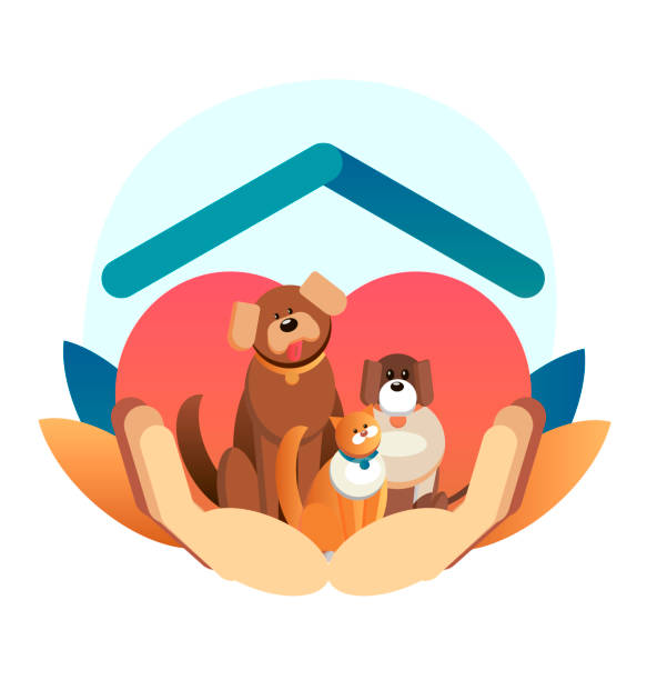 12,157 Animal Rescue Illustrations & Clip Art - iStock | Animal rescue center, Animal rescue centre, Wild animal rescue 12,157 Animal Rescue Illustrations & Clip Art - iStock | Animal rescue center, Animal rescue centre, Wild animal rescue