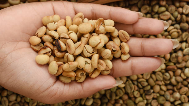 istock close up of green coffee beans 1222917404