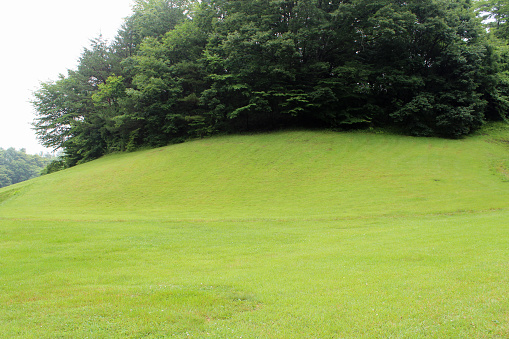 Green grass field on small hills in karuizawa,japan.