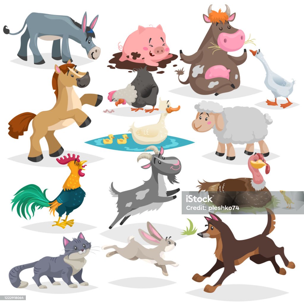 Cute Farm Animals Set Collection Of Cartoon Vector Drawings In Flat Style Donkey Goat Horse Sheep Pig Cow Turkey Duck Rooster And Hen Goose Dog Cat Rabbit Various Poses Stock Illustration - Cute Farm Animals Set Collection Of Cartoon Vector Drawings In Flat Style Donkey Goat Horse Sheep Pig Cow Turkey Duck Rooster And Hen Goose Dog Cat Rabbit Various Poses Stock Illustration -