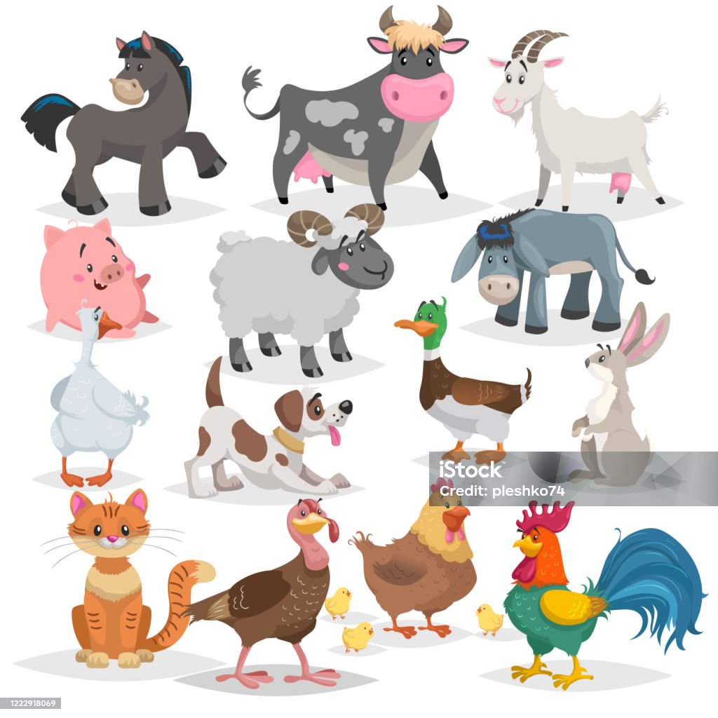 Cute Farm Animals Set Collection Of Cartoon Vector Drawings In Flat Style  Donkey Goat Horse Sheep Pig Cow Turkey Duck Rooster And Hen Goose Dog Cat  Rabbit Stock Illustration - Download Image