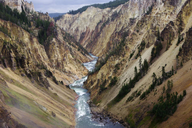Grand canyon of the Yellowstone Grand canyon of the Yellowstone  from Brink of the Lower Falls grand canyon of yellowstone river stock pictures, royalty-free photos & images