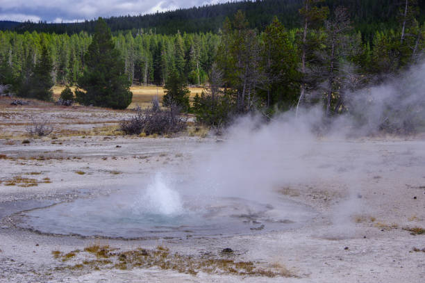 istock Twig Geyser, Fountain Paint Pots Trail 1222921950
