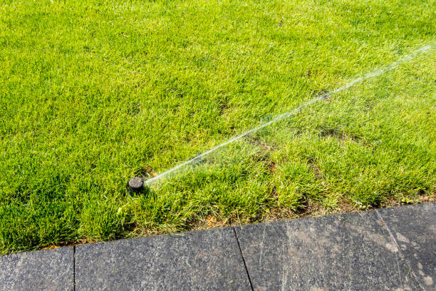 istock Sprinkler in action watering grass 1222924162