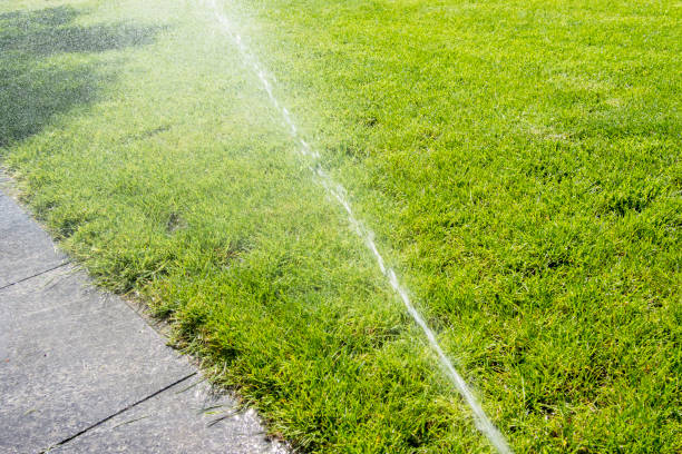 istock Sprinkler in action watering grass 1222924962