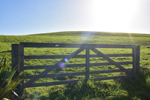 Wooden Livestock Gate In Back Light