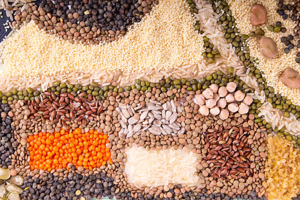 sfondo alimentare. mappa alimentare stilizzata di vari legumi, serei, fagioli, cereali e semi. tipo di lenticchie, bulgur, poltiglia, ceci, semi di girasole, couscous, riso. - mash bean foto e immagini stock