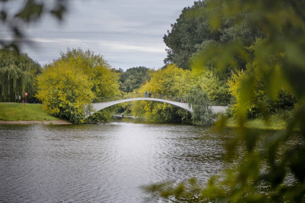 istock bridge over the lake in the publuc park in summer 1222928780