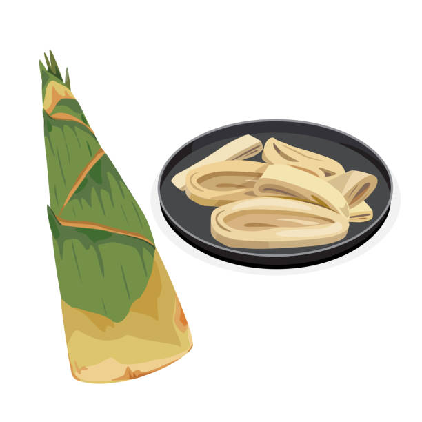 bambus strzelać - bamboo shoot stock illustrations