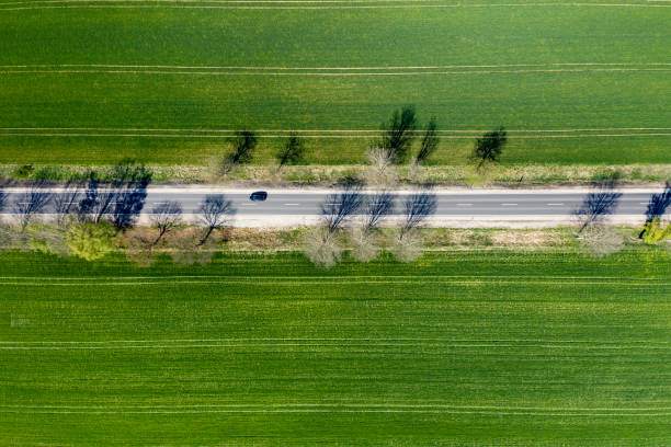istock An Aerial Road Trip - forest with curved road 1222929611