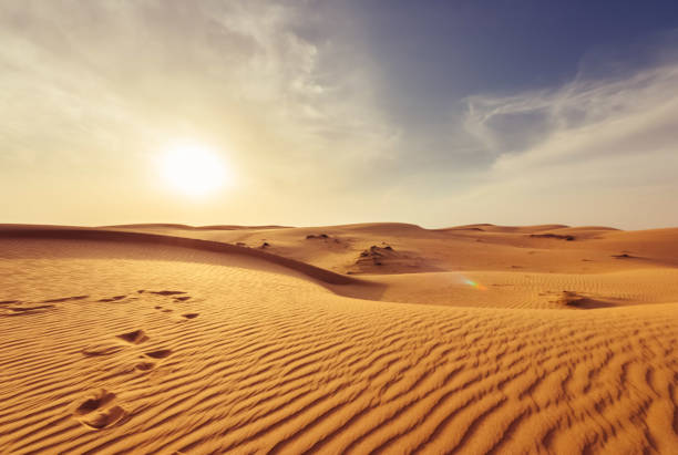 Sunshine in desert View of sunshine in Sahara desert western sahara stock pictures, royalty-free photos & images