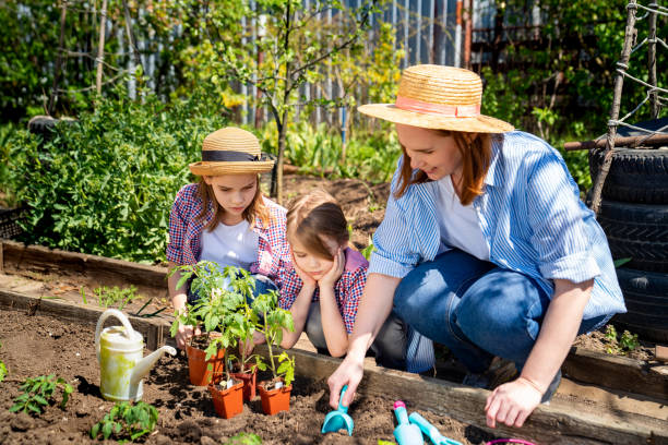 istock mom and her cute daughters planting seedlings 1222935648