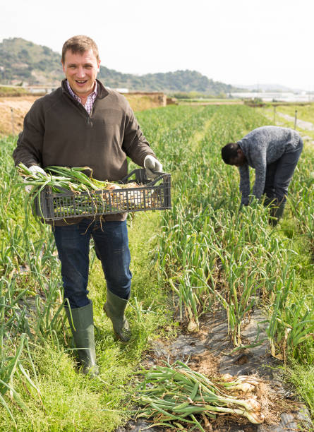 istock Man carrying box with green onions 1222937504