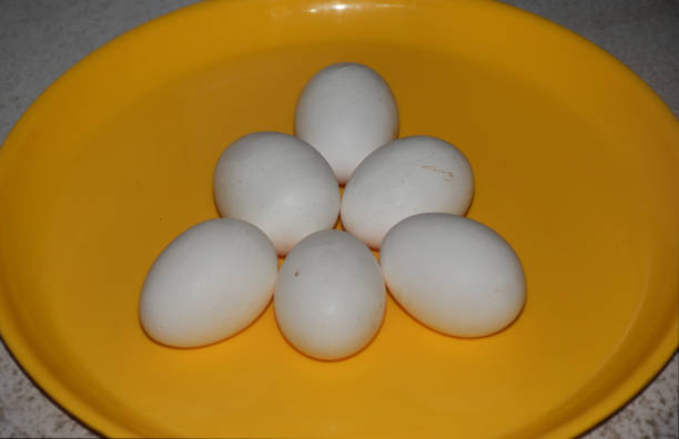 istock Half a Dozen White eggs of Hen on a yellow plate 1222937891