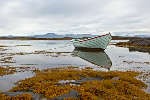 White boat in the sea with reflection in the water on a beach with yellow algae and surrounded by mountains in a fjord