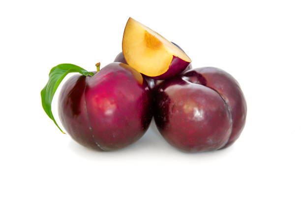 istock plums on a big background, isolate. bright plums black or red without background. 1222953495