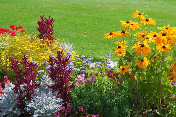 istock Bright flowers on a flower bed . 1222954077