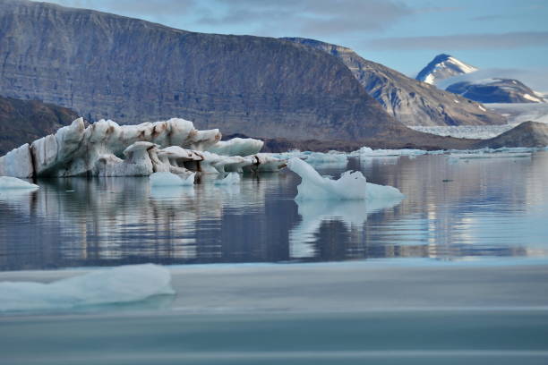 istock Snowy mountains. Reflection in sea water. 1222955593
