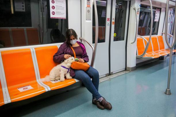 uma passageira está sentada com seu cachorro dentro da linha a do metrô de roma manter o distanciamento social - southern europe public transportation international landmark local landmark - fotografias e filmes do acervo