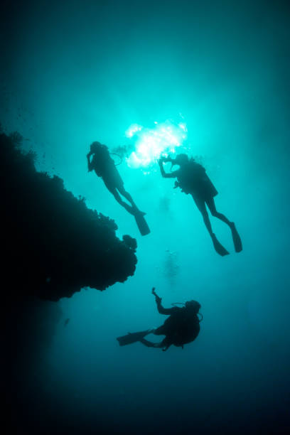 istock Underwater diver silhouette shot facing up to the surface 1222958934
