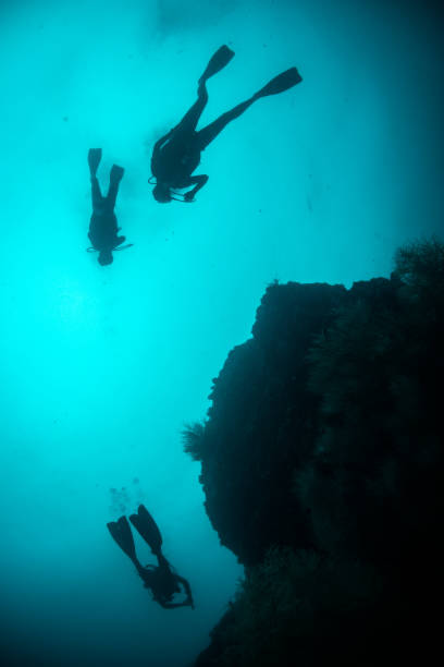 istock Underwater diver silhouette shot facing up to the surface 1222958941