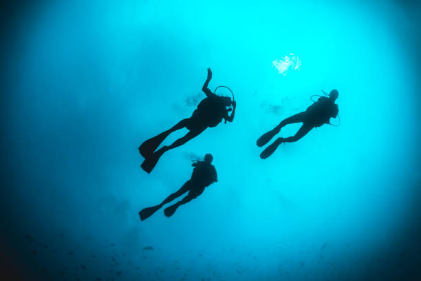 istock Underwater diver silhouette shot facing up to the surface 1222958944