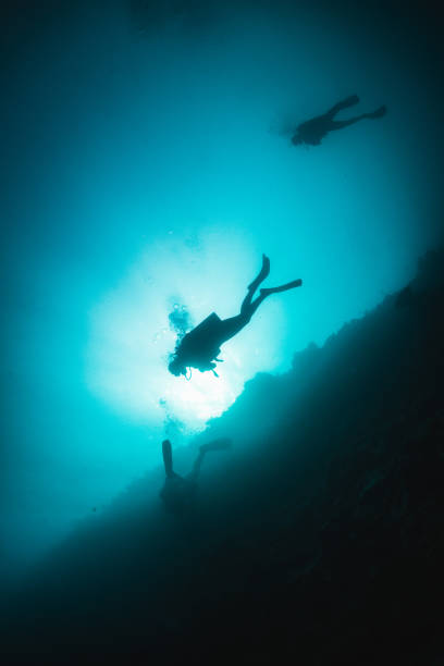 istock Underwater diver silhouette shot facing up to the surface 1222958948