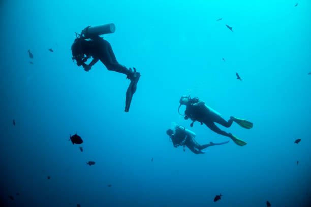 istock Underwater diver silhouette shot facing up to the surface 1222958975