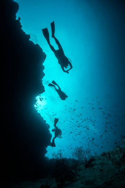 istock Underwater diver silhouette shot facing up to the surface 1222958985