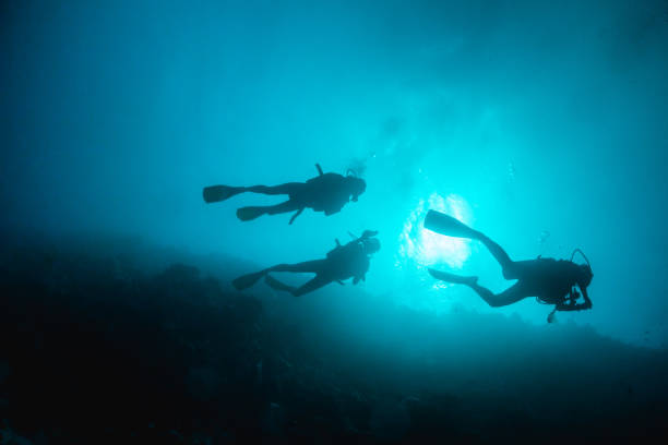 istock Underwater diver silhouette shot facing up to the surface 1222959000