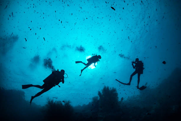 istock Underwater diver silhouette shot facing up to the surface 1222959031