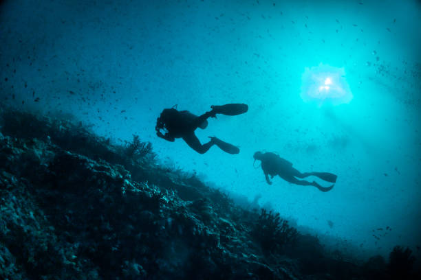 istock Underwater diver silhouette shot facing up to the surface 1222959060