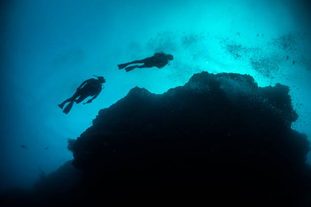 istock Underwater diver silhouette shot facing up to the surface 1222959061