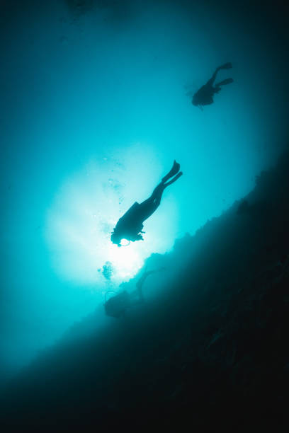 istock Underwater diver silhouette shot facing up to the surface 1222959380