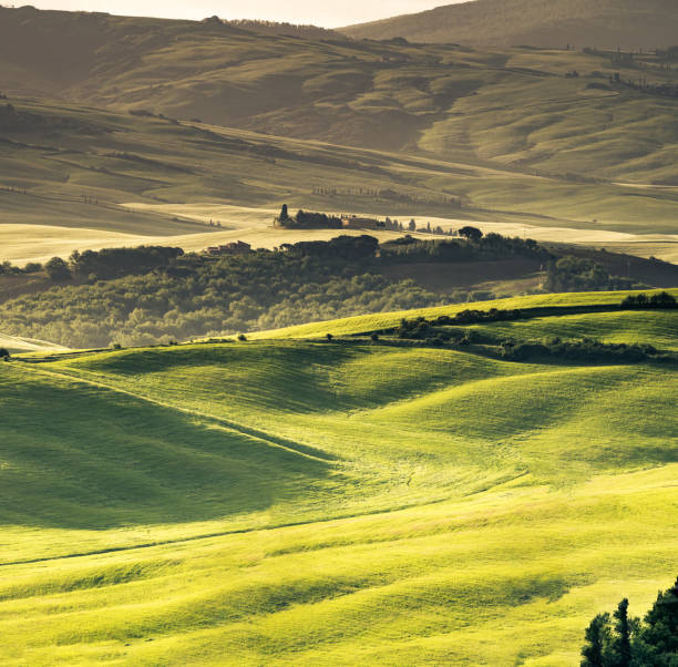 istock Sunny landscape from Val d'Orcia, Tuscany, Italy 1222959716