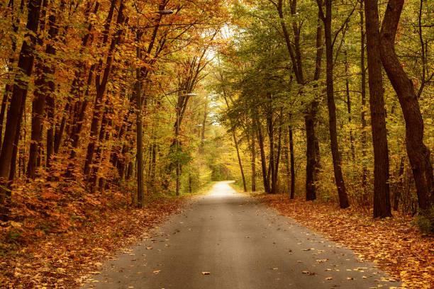 istock Beautiful autumn landscape 1222964532