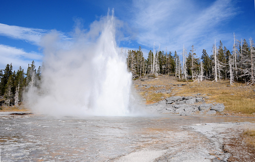 Giant Geyser Eruption in the Yellowstone National Park