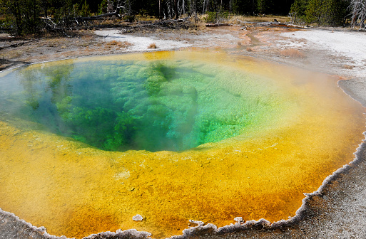 The Morning Glory Pool in the Yellowstone national park