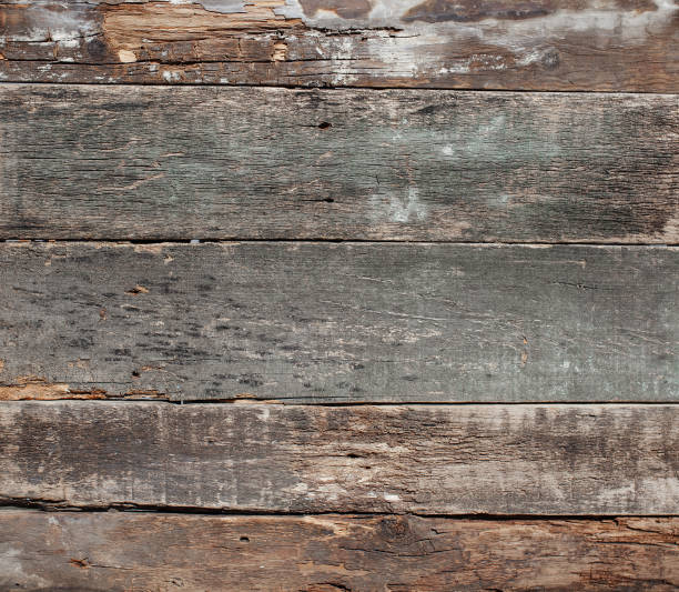 istock Aged wood texture. Background for banner. Old log. Light brown 1222971308