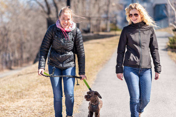 istock Two blond women walking a dog 1222971369