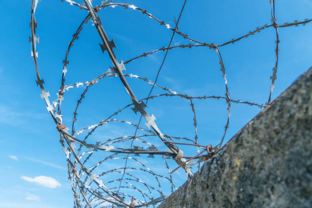 istock Barbed wire coiled around a fence against a blue sky 1222973420