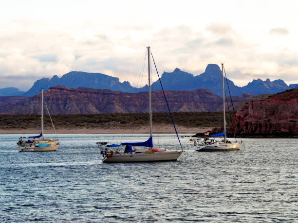 istock Four sailboats near sunset 1222973535