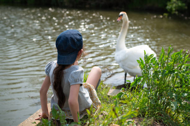 istock Girl surprised by a big swan 1222978283