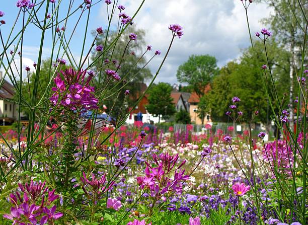 istock Wonderful flower garden 122297956