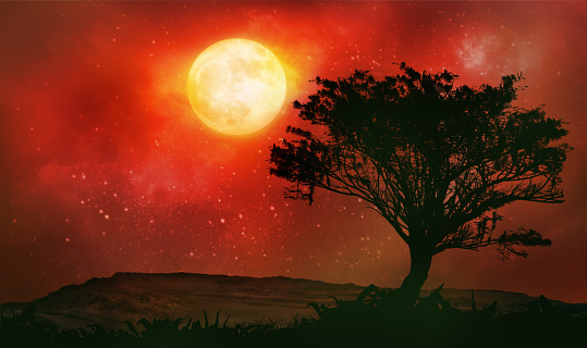 magic night lanscape with starry sky, full red moon and tree
