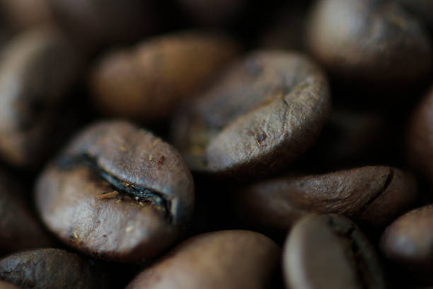 Macro view of roasted coffee beans with selective focus